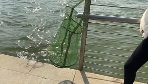 Portable Mesh Cage Foldable3-Layers or 2-Layers Nylon fishing net fish and shrimp net cage Cast mesh