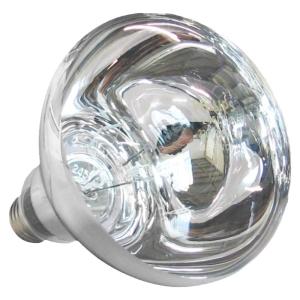 Philips | Heating Bathroom Light Bulb Waterproof & Explosion-proof 245W