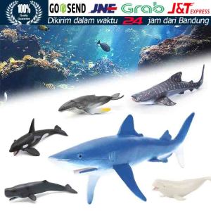 Grosir Murah Mainan Simulasi Ikan Paus / Hiu / Lumba-Lumba Bahan Plastik Untuk Anak Whale
