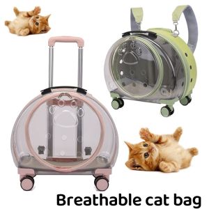 Pet Backpack Trolley Case Portable Flight Case Transparent Breathable Cat Travel Bag Dog Bagpack
