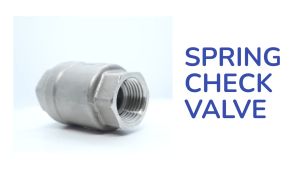 Stainless Steel SS316 Spring Check Valve  1/4” to 2” Heavy Duty One Way Non Return Backflow Prevention Valve