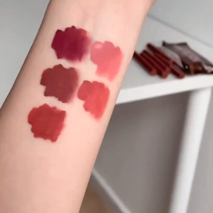 5Pcs/Set Chocolate Lip Glaze Lipstick Matte Lip Matte Moisturizing Lip Gloss Waterproof