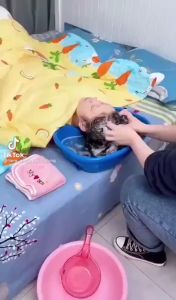 Chậu Gội Đầu Tại Giường Cho Người Già Bà Bầu Trẻ Em