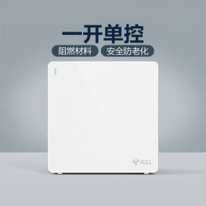 Bull | Single Control Wall Switch for Home Use
