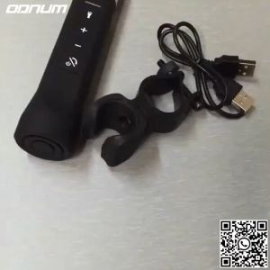 ODNUM Multi-function flashlight Outdoor LED lighting Built-in lithium battery Bluetooth music player FM radio