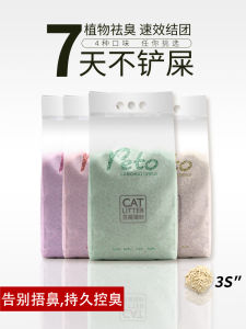 Dust-Free Pure Tofu Cat Sand: A Comprehensive Guide