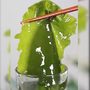 แท้💯สาหร่ายวากาเมะ เกรดA+ วากาเมะใหม่ต้นฤดู สาหร่ายวากาเมะอบแห้ง ยำสาหร่าย สาหร่ายโรยข้าว Dried Wakame Seaweed 裙带菜