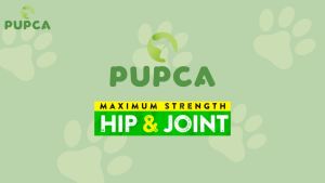 Red Light Therapy for Dog and Pet -Cold Laser Therapy Device for Joint Pain Relief Safe and Affordable for Your Pets Family Doctor