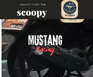 Knalpor TZM Copy Honda Scoopy All Size