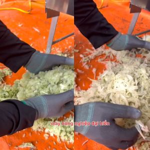 Máy Thái Chuối CỬA ĐỨNG INOX. Thái Siêu Mịn -  Cắt Chuối Nguyên Cây - Băm Cỏ Voi. Động Cơ 15kW Bao Dây Đồng 100%