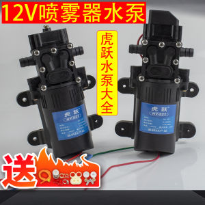 High Pressure Sprayer Pump Electric Smart Self-Priming Pump Motor for Agricultural Use Garden Hose Nozzle Spray Gun