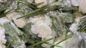 (5 kuntum) Bunga Mawar Premium 5 kuntum/Rose Artificial/Bunga dekorasi