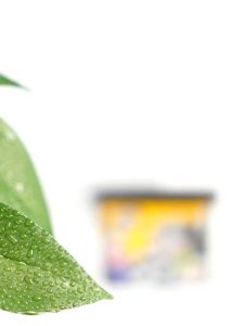 🇸🇬Koala Home🔥Large Dehumidifier Box Moisture Absorber Anti Moulding Odours Removal Disposable 500ml Thirsty Hippo