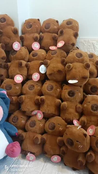 Gấu Bông Capybara mini 22cm nhiều mẫu mã đáng yêu, Chuột lng nước cute