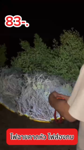 ไฟฉายคาดหัว LED กันน้ำกันฝน ปรับซูมได้ ไฟฉายเดินป่า กรีดยางตั้งแคมป์ ใช้งานลุยฝนได้ส่องสัตว์ จับกบหาปลา ตกปลา