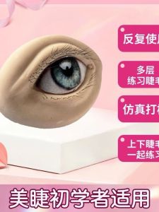 Multi-Layer Eyelash Model for Beginners Eyelash Extension Training Natural Looking Fake Eyelashes Practice Tools from China