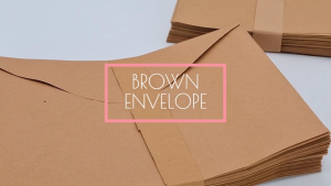 Risefully 50pcs Brown Envelope for School and Office Use Short/Long Size