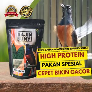 PAKAN KHUSUS MURAI BATU VOER  RAJIN BUNYI HARIAN DAN LOMBA 250G