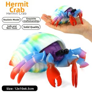 Educational Sea Creature Crabs and Hermit Crabs Toys