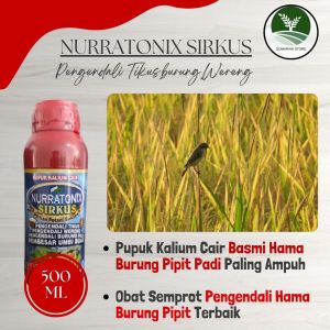(ORIGINAL 100%) NURRATONIX SIRKUS 500ML Pupuk Kalium + ZPT Hama Burung pipit pada padi - Obat Semprot pengendali hama burung sawah Ampuh - obat racun pengusir burung pipit - obat pencegah datangnya serangan burung pipit padi paling ampuh BERKUALITAS