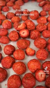 ซื้อเครื่องสตรประสบการณ์รี่ฟรี สตอเบอร์รี่ฟรีซดราย สตอเบอร์รี่อบกรอบ สตอเบอร์รี่กรอบ สตอเบอร์รี่ สตอเบอร์รี่ฟรีซดราย เกรดพรีเมี่ยมอาหารเจ เจย่าอีกด้วย Freeze-Dried Strawberry