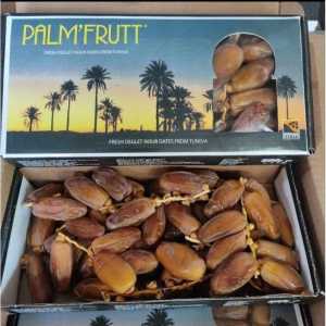 Kurma Tangkai Palm Fruit Fruit 500gr / Kurma Tunis Tangkai palmfruit