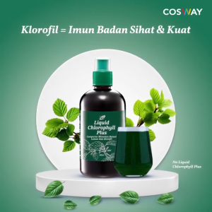 🔥9 YEARS SELLER🚀FAST SHIP✅100% ORI COSWAY chlorophyll/cholofil/叶绿素/air hijau/chrofil 500ml (NEW BATCH)