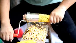 Alat Pemipil Biji Jagung & Perontok Pengupas Jagung Manual