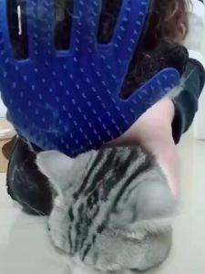 【Witte】สไตล์ใหม่!แปรงขน ขนแมว ขนสุนัข ถุงมือแปรงขน