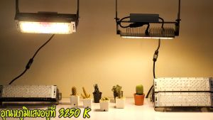 โคมไฟปลูกต้นไม้ GOD-100W LED Grow Light AC 220V ไฟปลูกพืช ไฟไม้ใบ ไฟปลูกมอนเตอร่า ไฟปลูกต้นไม้ ต้นไม้โตเร็วทันใช้ ไฟแสง 3250K มี LED 660nm