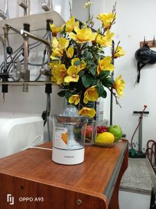 Máy vắt cam Kenwood JE290A