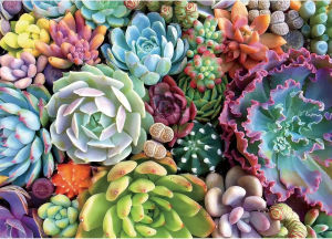 500/1000/1200/2000PCS Puzzle for Succulent Plant Jigsaw Puzzles for Gameroom Bedroom Livingroom Challenging Family Activity Game