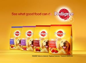 Pedigree Adult Chicken Beef Lamb Dry Dog Food 3KG