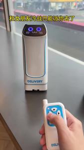 Electric Food Delivery Robots Novel Remote-controlled Car Toys Small Item Transportation Games Funny Surprisest Birthday Gifts
