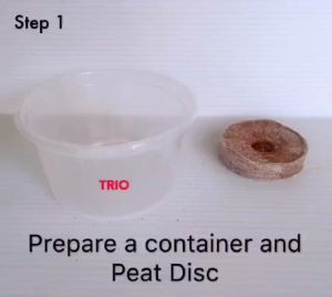 Peat Pellet/Peat Disc/Peat pot Growmate 育苗块 42mm (1000 pcs)