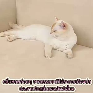 【จัดส่งจากไทย】ดับกลิ่นแมว ขจัดกลิ่นตัวสุนัข กำจัดกลิ่นที่ต้นตอ ยับยั้งแบคทีเรียยาวนาน กำจัดกลิ่นฉี่แมว สัตว์เลี้ยง ทรายแมว สุนัข