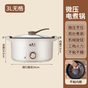 Multifunctional Electric Pressure Cooker Small Kitchen Appliance for Students Home Use Dormitory Noodle Cooking Stir-Fry Pot