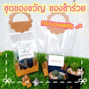 🔥10ชุดลด3%🔥 ชุดของขวัญ ของชำร่วย ของที่ระลึก กระบองเพชร ต้นไม้จริง รอจัดส่งไม่นาน