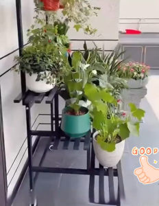 MOD Carbon Steel Plant Stand Multi Tier Flower Rack Garden Shelf Balcony Plant Holder Outdoor Indoor Plant Display Organizer Home Decor