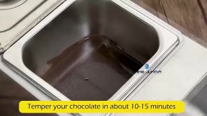 Electric chocolate melting machine Dual-cylinder electric water-insulated chocolate melting furnace Stainless steel Chocolate melting pot 2 Grids