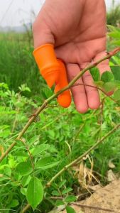 Finger Protector Silicone Thumb Knife Protector Gears Cutting Vegetable Harvesting Knife Pinching Plant Blade Scissors Gloves