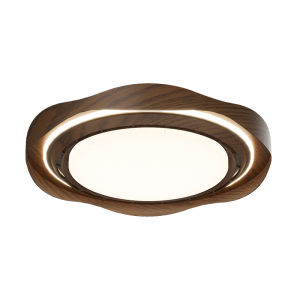 DGY | Modern Invisible Ceiling Fan Light For Home