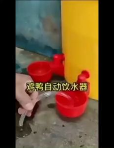 E.B. 6pcs Chicken Cup Waterer 4pcs Water Cups Automatic Waterer Cup Chicken Cup Waterer Chicken Feeder Poultry Drinking Bowl