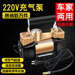 Home Electric Air Pump