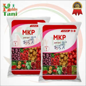 PUPUK MKP UNTUK BUNGA DAN BUAH ISI 1 KG cocok dingunakan untuk semua jenis tanaman apel meloncabai semangka mentimun anggur storberi dan mangga