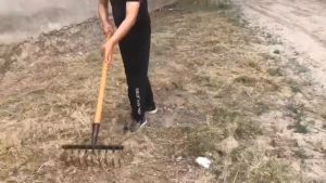 คาดหญ้า คราดหญ้า 4-10 ฟัน คราด คราดถากหญ้า คราดเหล็ก จอบ คราดเก็บหญ้า ที่ถากหญ้า คาดหญ้าเหล็ก คราดทำสวน จอบถากหญ้า จอบถากหญ้าเล็ก 10 ปี ไม่พัง