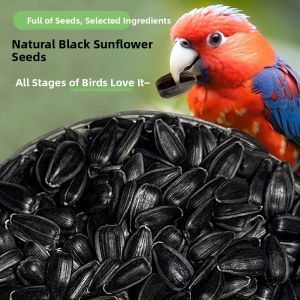MONLEYTA | Parrot Food Sunflower Seeds Snacks for Parrots
