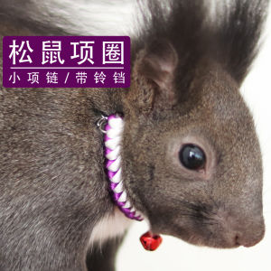 Adjustable Squirrel Eye Fly Squirrel Traction Rope Chain Link for Hamster Guinea Pig Flower Rat Small Bell Necklace Toy
