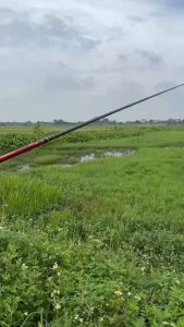 Cần câu tay săn hàng -BiQuan - Đạt Nhĩ Ba thế hệ 2 - Mãnh lonn. Bảo hành 1 lóng bất kỳ 1 năm trừ lóng gốc