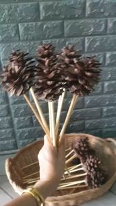 Rarin ลูกสน พร้อมก้าน (สีธรรมชาติ Size L ) แบบรวม 3 ก้าน ใช้ตกแต่งต้นคริสต์มาส พร๊อพถ่ายรูป แต่งโต๊ะอาหาร DIY มีของพร้อมส่งค่ะ